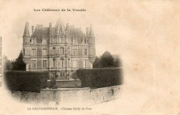 - 85 - LA CHATAIGNERAIE (Vendée) - Château Bailly Du Pont. - La Chataigneraie