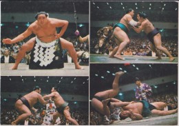 ASIE,ASIA Est,JAPON,JAPAN,japonais, NIPPON,NIHON,SUMO,ritual Ceremony,combat De Sumo,sport ,lutte,lutteur,rare - Otros & Sin Clasificación