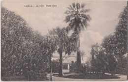 CARTE POSTALE ANCIENNE,PORTUGAL,PORTUGUES,PORTUGUESA,LISBONNE,LI SBOA EN 1900,JARDIM BOTANICO,rare,rocha Ed - Lisboa