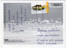 MALDIVES-COCOA - PALM BEACH - IHURU - NEW ISLAND (PHOTO MICHAEL FRIEDEL No.23/118) / THEMATIC STAMP-FISH - Maldives