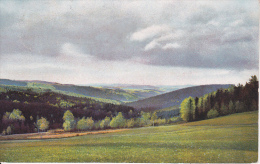 AK Frühlingsstimmung Am Geisingberg - 1927 (13515) - Altenberg