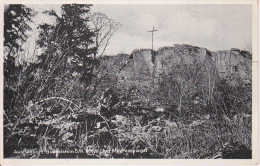 AK Ausflugsort Büchelstein - Ca. 1940 (13518) - Deggendorf