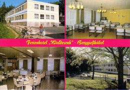 Bad Gottleuba Berggießhübel - Ferienhotel Waldesruh - Bad Gottleuba-Berggiesshuebel