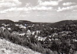 Bad Gottleuba Berggießhübel - S/w Sanatorium & Panoramahöhe - Bad Gottleuba-Berggiesshuebel