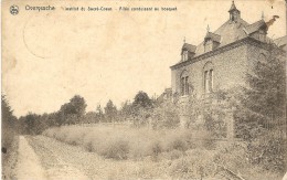 CPA Belgique - OVERIJSE - Pensionaat -  Institut Du Sacré-Coeur  - Allée Vers Le Bosquet - 1909 - Overijse