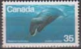 Canada. 1979, Whales, 1v. Michel. 723. MNH 20852 - Ballenas