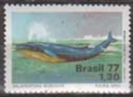 Brazil. 1977, Whales, 1v. Michel. 1597. MNH 20853 - Baleines