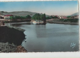 Cpa  64  Pyrenees   Atlantiques Behobie Vue Sur L Ile Des Faisans Hendaye - Béhobie