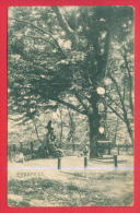 167357 / Budapest - JAHANNESBERG KONIGIN ELISABETH BETSTREMEL , TREE GARDEN - USED 1905 TARNOVO TPO BULGARIA Hungary - Hongarije