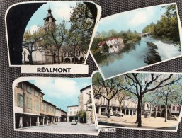 REALMONT - Realmont