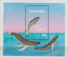 Grenada. 1982, Whales.Sheet. 1v. Michel. 112. MNH 20879 - Baleines