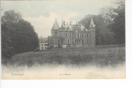 CP Hoeylaert Hoeilaart Le Château  Légèrement Colorisé Vers 1908 Nels - Höilaart