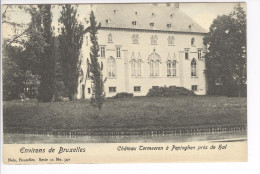 CP Environs De Bruxelles. Château Termeeren à Pepinghen (Hal) Légèrement Colorisé Vers 1905 Nels - Pepingen