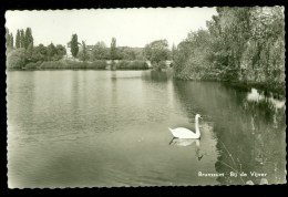 BRUNSSUM * VIJVER *  LIMBURG  * ANSICHTKAART * CPA *  (3572D) - Brunssum