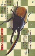 BUG - Punaise -  Kever - Insect (128) - Altri & Non Classificati