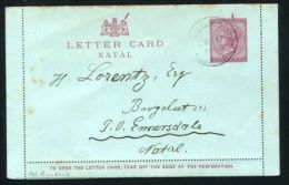 NATAL STATIONERY LETTER CARD ROSEBANK POSTMARK 1903 - Unclassified