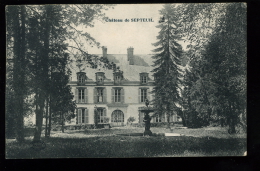 Yvelines 78 Septeuil Château De 1928 - Septeuil