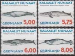 Greenland. 1997, Whales. 4v. Michel. 305-308Y. MNH 20899 - Baleines
