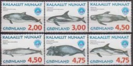 Greenland. 1998, Whales. 6v. Michel. 316-321Y. MNH 20900 - Baleines