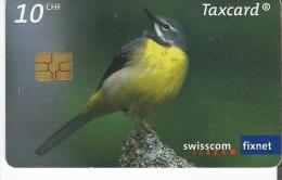 Mésange (swisscom) - Pájaros Cantores (Passeri)