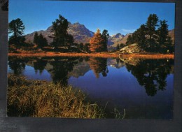 P999 SWITZERLAND- Hahnensee Im Oberengadin - FOTO UND VERLAG C. FILLI, CELERINA - Celerina/Schlarigna