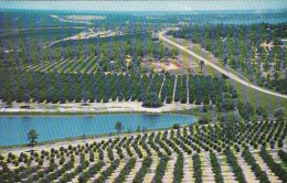 Citrus Groves And Lakes As Seen From The Top Of The Citrus Tower West Palm Beach Florida 1969 - West Palm Beach