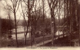 77 - PONTHIERRY - Vue Du Bois De Montgermont - Saint Fargeau Ponthierry