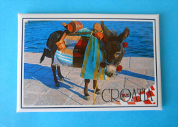 DONKEY - CROATIIA TAXI Beautiful And Very Quality Magnet * MINT CONDITION * âne Baudet Bourricot Asno Esel Asino Donkeys - Magnets