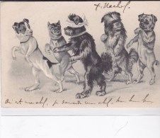 5 CHIENS  Humanisés, De Races Différentes,  Jouant à Colin -Maillard  (Gaufrée) - Dogs