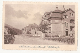 Allemagne - Germany - Neustadt An Der Haardt Waldstrasse En 1919 - Neustadt (Weinstr.)