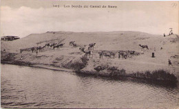 SUEZ - Les Bords Du Canal De Suez - Suez