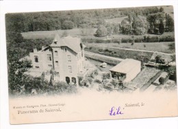 Delcampe - 30471  -  Tilff  -   Sainval  Pano - Esneux