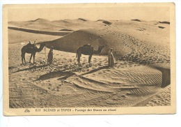 Scènes Et Types : Passage Des Dunes Au Désert (n°22) Afrique Du Nord - Westsahara