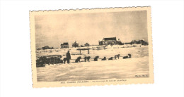 POLAIRE .... AUX GLACES POLAIRES ... LE CHARRIAGE DU BOIS DE CHAUFFAGE ... ATTELAGE DE CHIEN - Amérique