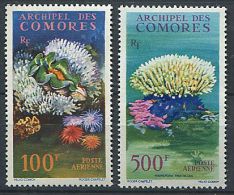 140 COMORES 1962 - Corail (Yvert A 5/6) Neuf ** (MNH) Sans Trace De Charniere - Ungebraucht