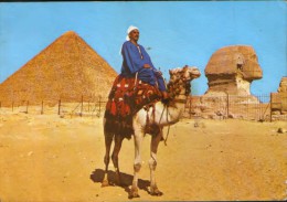 Egypt - Postcard   Unused   - Giza - Camel Driver Near The Sphinx And Pyramid Of Khufu  - 2/scans - Guiza