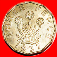 * THRIFT PLANT (1937-1948) GREAT BRITAIN 3 PENCE 1937 GEORGE VI (1937-1952)! UNC MINT LUSTRE! LOW START  NO RESERVE! - F. 3 Pence