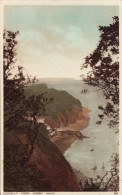 Vintage Postcard Clovelly From Hobby Drive Devon Photochrom - Clovelly