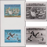 Mauritanie 1982 Y&T 504/5. Épreuves-photos Et Essai Offset. Oiseaux Du Banc D'Arquin. Pélicans Blancs Et Flamants Roses - Pelikanen