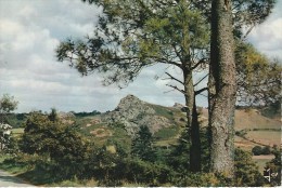 BRETAGNE Les Montagnes Noires Entre LAZ Et CHÂTEAUNEUF-du-FAOU - Châteauneuf-du-Faou