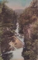 Canyon View Matthiessen State Park La Salle And Ottawa Illinois - Sonstige & Ohne Zuordnung