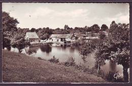 CPSM De JUVIGNY SOUS ANDAINE  Orne      Etang Du Moulin Neuf  Cachet Le II 8 1966   Num 8 - Juvigny Sous Andaine