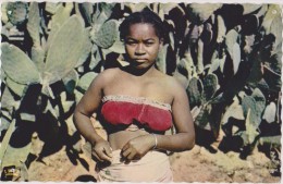 MADAGASCAR,MADAGASIKARA,M ALAGASY,ile,sud équateur,ex Colonie Française,métier,figuier De BARBARIE,agricultrice Sexy - Madagascar