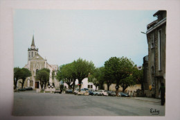 74 : Boege - La Place De L'Eglise ( Voitures ) - Boëge