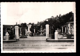 06 ST LAURENT DU VAR Jardin Public, Monument Aux Morts, Ed CIM, CPSM 9x14, 1950 - Saint-Laurent-du-Var
