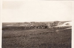 Photo 14-18 TARNOYOL (netālu Riga??) - Une Vue (A101, Ww1, Wk 1) - Letonia