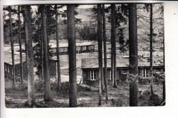 L 6550 BERDORF - WEILERBACH, Maison De Vacances, Druckstelle - Berdorf