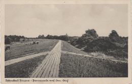 AK Ostseebad Prerow Promenade Auf Dem Deich ? Kirche Fischland Darss Bei Zingst Barth Rostock - Fischland/Darss