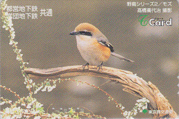 Carte Prépayée Japon - Animal - Série Oiseaux 2/3 - OISEAU PIE GRIECHE - SHRIKE BIRD Japan T Card  - Vogel - 3912 - Pájaros Cantores (Passeri)