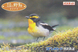 Rare Carte Prépayée Japon - OISEAU Passereau - BIRD Japan Prepaid Card - Vogel Karte - 3918 - Pájaros Cantores (Passeri)